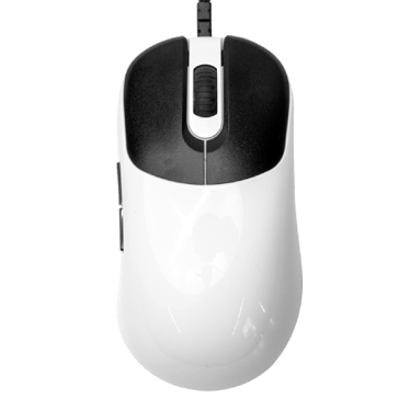 VAXEE ZYGEN NP-01S Fényes