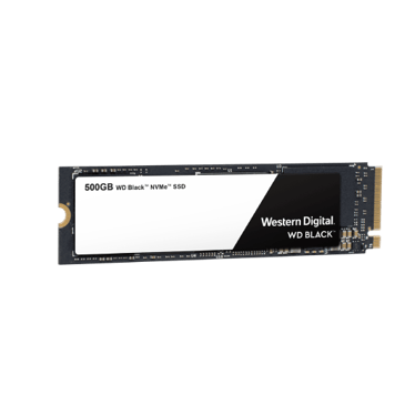 웨스턴 디지털 블랙 500GB