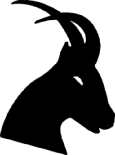 znovu získat