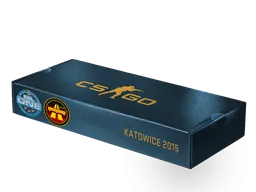 ESL One カトヴィツェ 2015 陸橋 おみやげ パッケージ