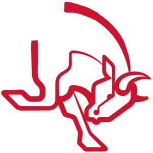 ورزش الکترونیکی AaB