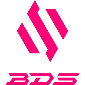 فريق BDS