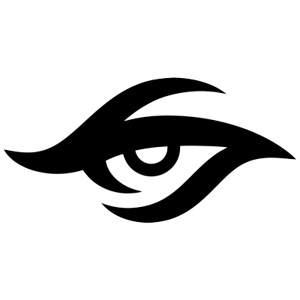 سر الفريق