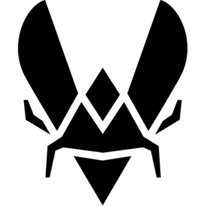 حيوية الفريق