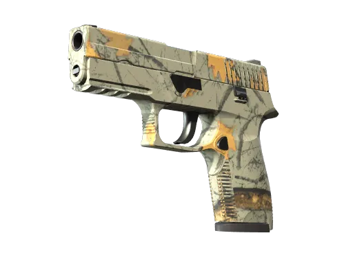 P250 | Modern Vadász