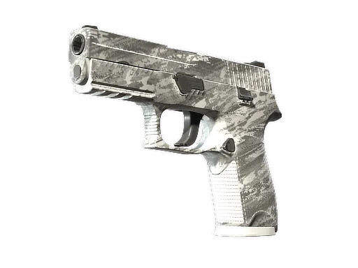 P250 | Sludd