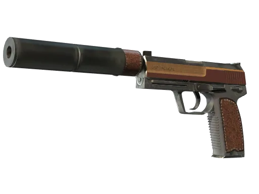 USP-S | Lớp học kinh doanh
